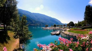 РЕЛАКС утро в деревне/RELAX morning in the countryside