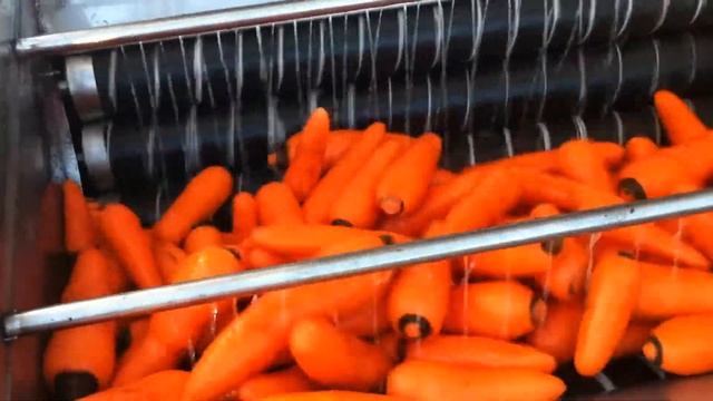 Машина для отчистки корнеплодов - оборудование для производства смотреть онлайн