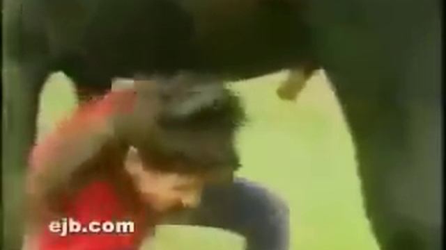 Девушка под конём