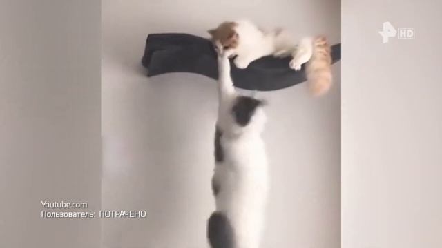 Смотреть всем 01.04.2021