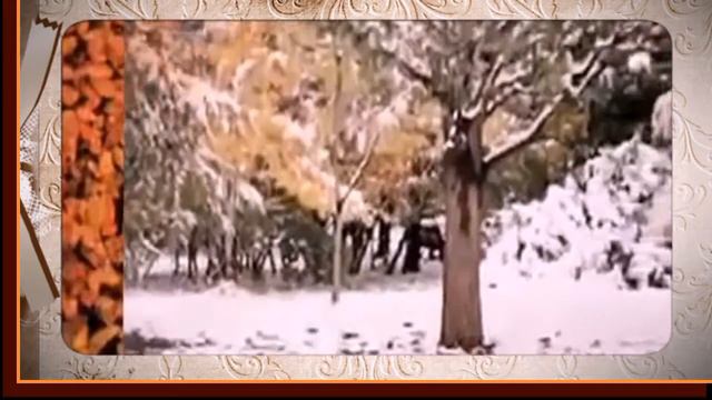 «В моей душе покоя нет», песня из к/ф «Служебный роман» смотреть онлайн