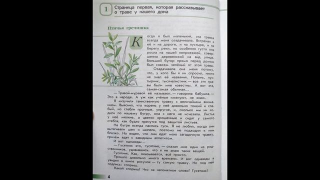 Читаем детям. ЗЕЛЁНЫЕ СТРАНИЦЫ. А.А.Плешаков. Страница первая. ПТИЧЬЯ ГРЕЧИШКА. смотреть онлайн