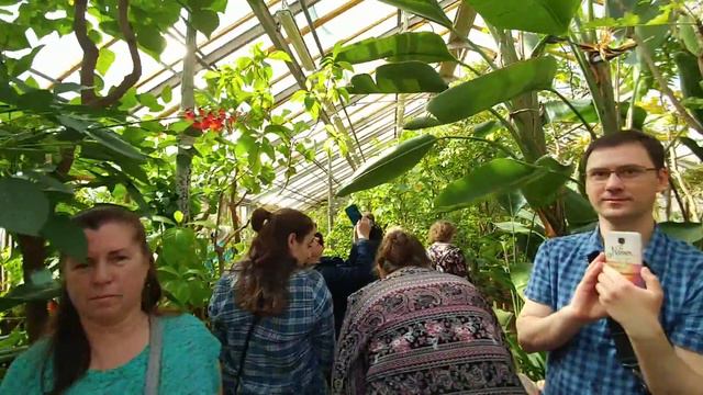 Дендрарий Ботанического Тропическим маршрутом смотреть онлайн