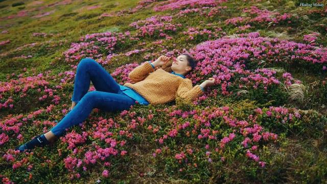 КРАСИВЫЕ МЕЛОДИИ ДО СЛЁЗ💖Самые красивые и волшебные песни о любви💖Прекрасная музыка Сергея Грищука# смотреть онлайн