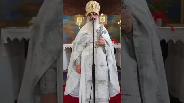 Слово архимандрита Амвросия (Макара). Неделя 7-я по Пасхе, святых отцев I Вселенского Собора. смотреть онлайн
