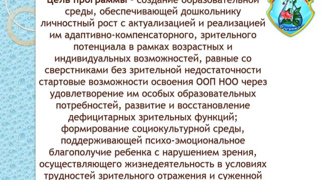 краткая презентация адаптированной основной образовательной программы дошкольного образования смотреть онлайн