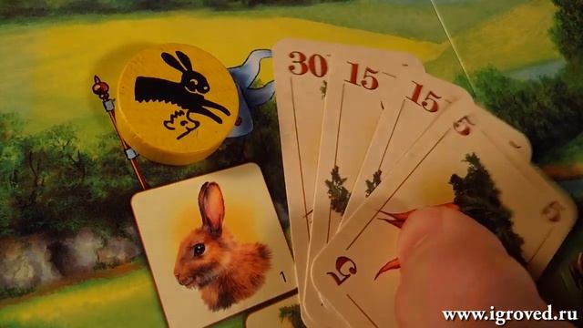 Заяц и Ёж. Обзор настольной игры от Игроведа.mp4 смотреть онлайн
