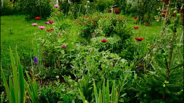 Panasonic Lumix G7k test video смотреть онлайн