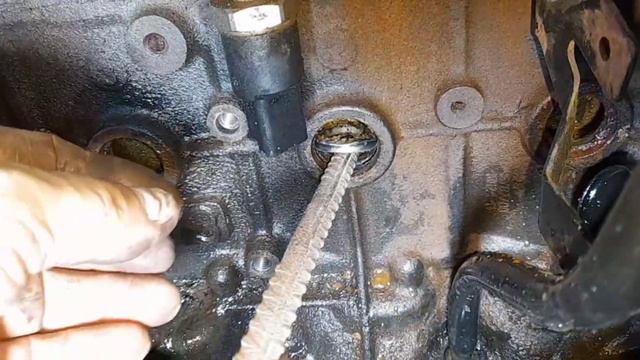 Pérdida De Agua Block Peugeot Peugeot Block Water Loss