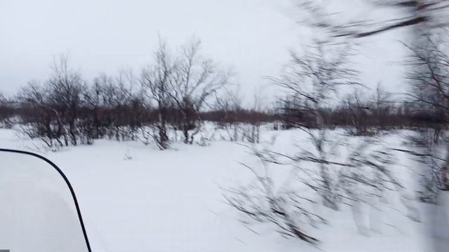 Катание на снегоходе (Ненецкий АО) смотреть онлайн