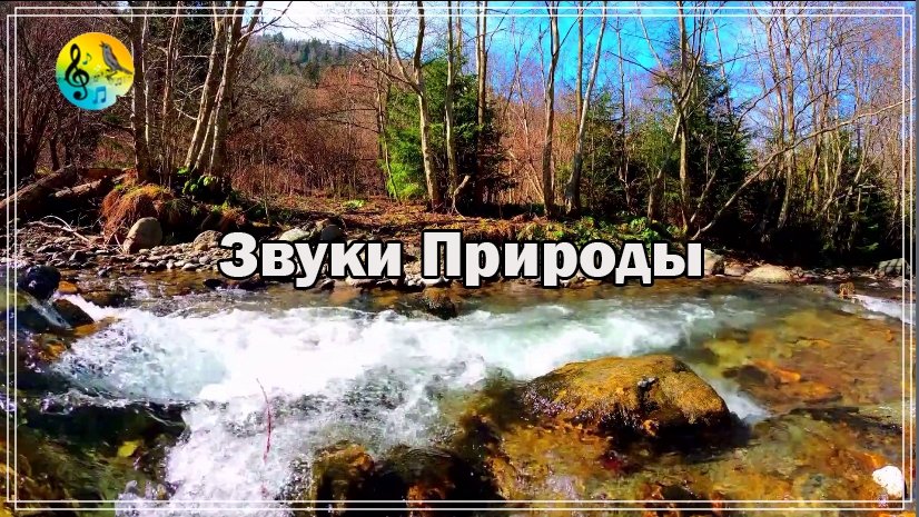 Relax ? Расслабляющие звуки реки. Лесная река и звуки природы ? Медитация смотреть онлайн