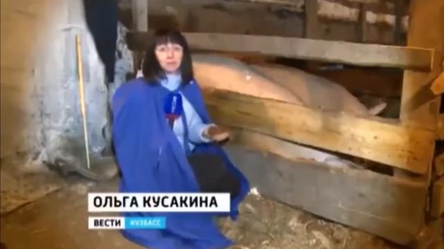 Сюжет о ферменте для содержания сельскохозяйственных животных смотреть онлайн