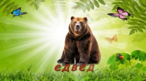 Учим животных ДИКИЕ ЖИВОТНЫЕ видео для детей Презентация для самых маленьких