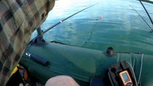 Крупный лещ на мормышку. Плещеево озеро
