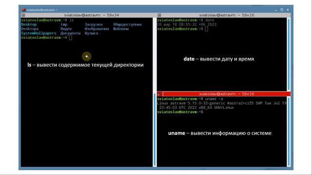 Первое знакомство с bash: переменные оболочки и среды, cd, ls, cat, echo, ps, touch смотреть онлайн