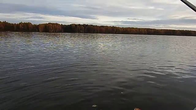 ЯУЗА, ПУДЫШИ, 02.10.2016г. смотреть онлайн