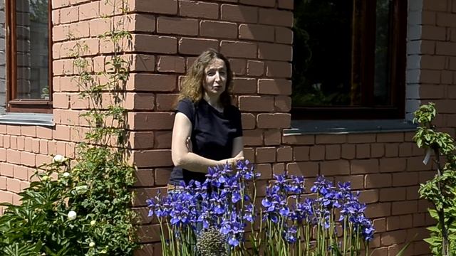 Почему фуксия не раскрывает бутоны. Жара. Жажда. Перелив. смотреть онлайн