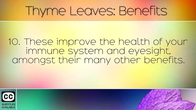 Thyme Leaves: Benefits and Uses смотреть онлайн
