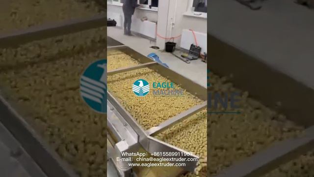 Машина для производства гранул для корма для собак, завод по переработке корма для собак смотреть онлайн