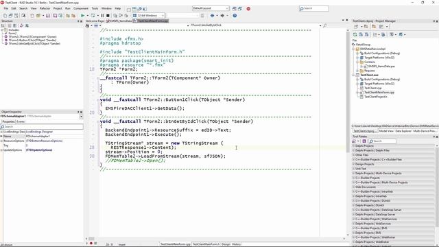 Embarcadero RAD Server