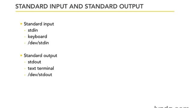 0601 Standard input and standard output смотреть онлайн