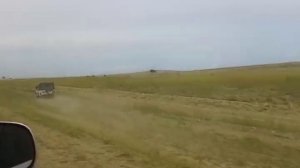 наадым 2015 Гаврюша биле Правыйнын сокчуп батканы, Аът чарыжы