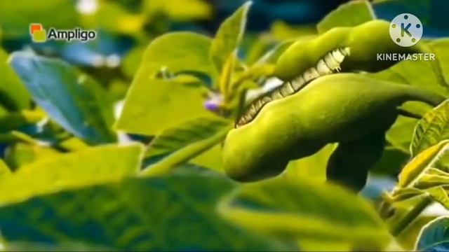 ampligo syngenta // Ampligo /Syngenta ampligo insecticide // смотреть онлайн