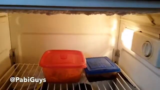 PabiGuys Vines - Паби мури (029)