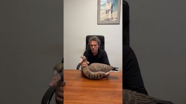 Обзор на комплект чучел Oscar Decoys Avian-Mix Elite 3D