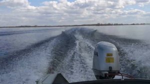 Лодка Салют 430 + Yamaha f40 и Прогресс-4 Honda BF50. Сезон 2020