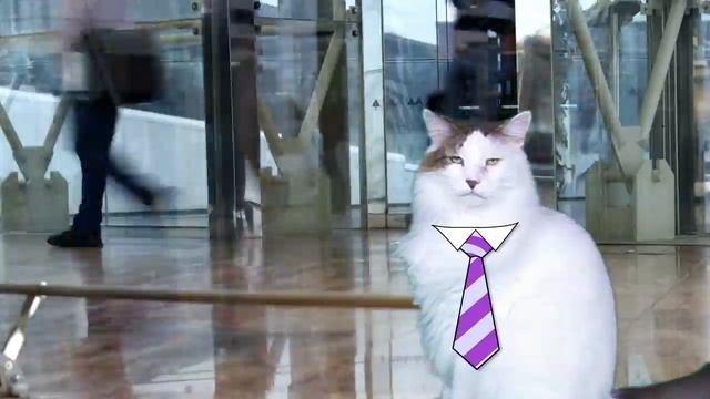 HAPPY BIRTHDAY ARTHUR! - EPIC CAT Happy Birthday Song смотреть онлайн