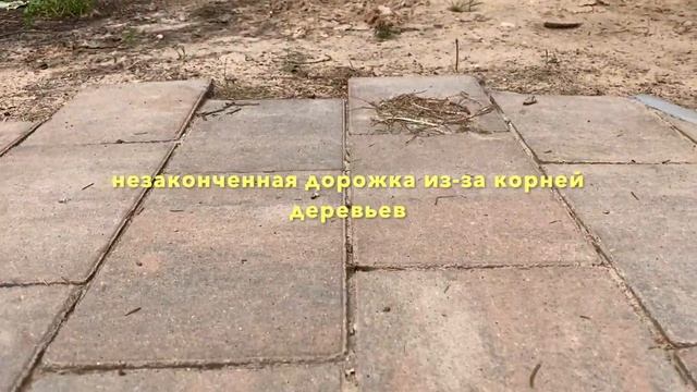МИНУСЫ ЛЕСНОГО УЧАСТКА #дачастайл #папамуж смотреть онлайн