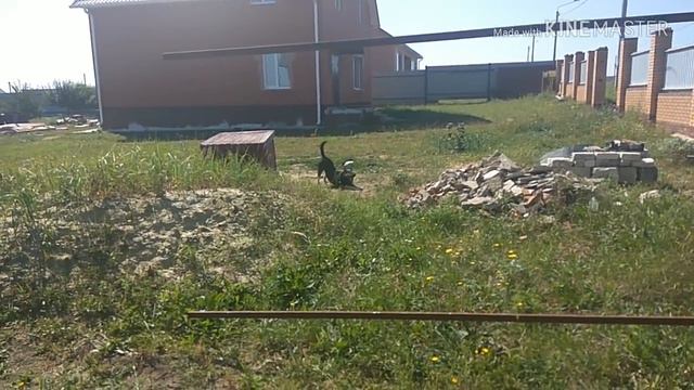 Калым выходного дня