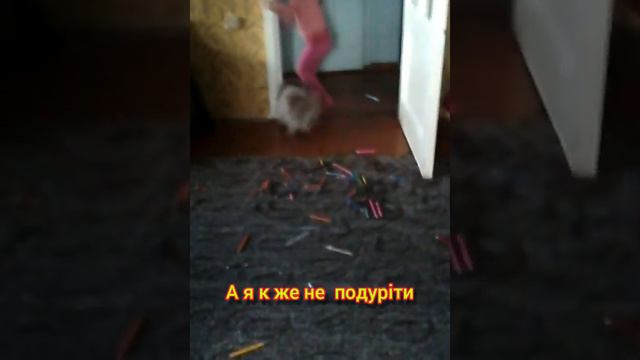 Мій домашній улюбленець смотреть онлайн