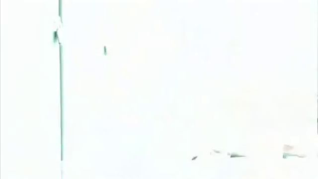 ЛЕОНА (LEONA) - Arguments