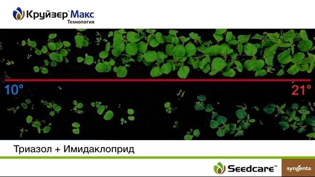 Температура почвы во время всходов сои смотреть онлайн