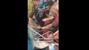 Акула в Хургаде 2023. Погиб Парень 23-х Лет..