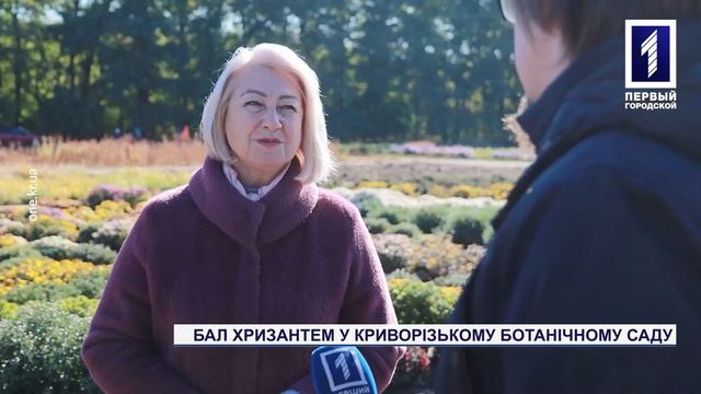 «Бал хризантем» у криворізькому ботанічному саду смотреть онлайн