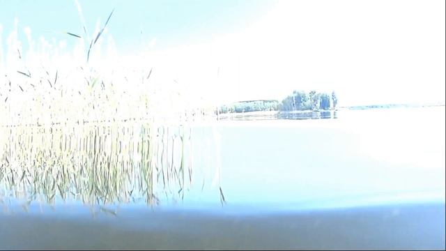 Дача ! Залив озера Струсто смотреть онлайн