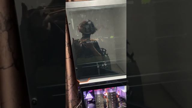 КУРСЕД, ОБЗОР НА НОВЫЙ ПК, СПАЛИЛ ЛИЦО / zxcursed смотреть онлайн