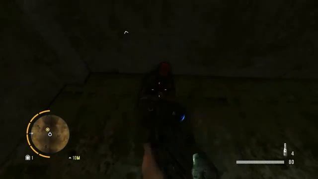 FarCry3 - The Lost Expeditions | Gameplay | (ShiZZle.DeMiS) смотреть онлайн