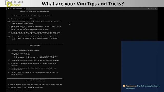 Making A Portfolio - Chill Stream(No Talking) - VIM Beginner(Practicing) -Vue JS смотреть онлайн