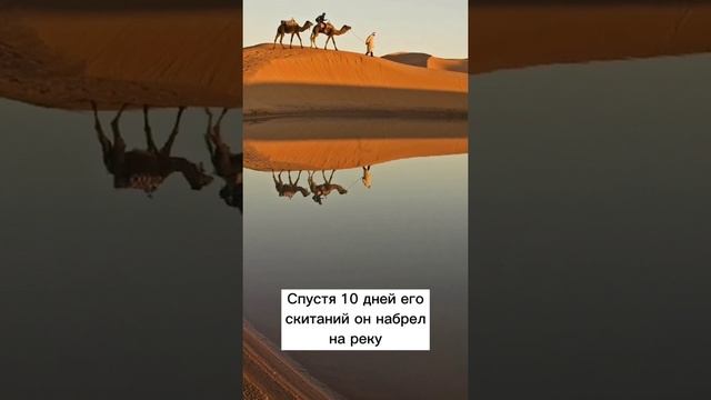 Этот Парень Ел Змей в Пустыне?️ #shorts смотреть онлайн