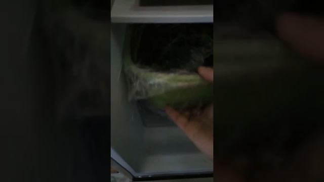 ФИКС ПРАЙС. Что я купила!!! ? Классные контейнеры для овощей. смотреть онлайн