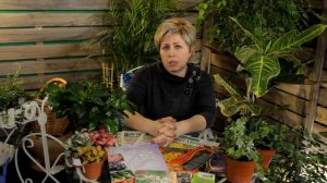 Цветущие кустарники ? Топ-10 садовых кустарников ?