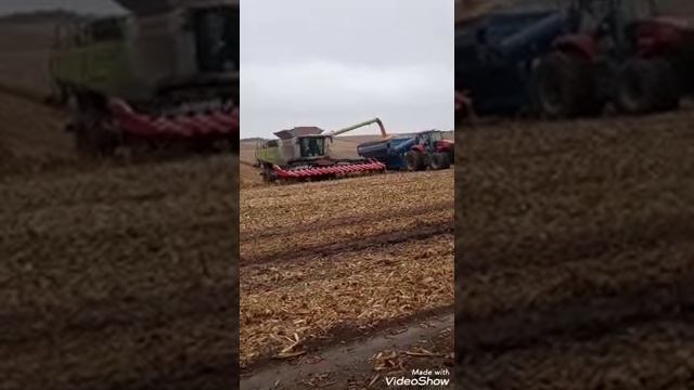 Молотить кукурудзу комбайн клас 2 смотреть онлайн