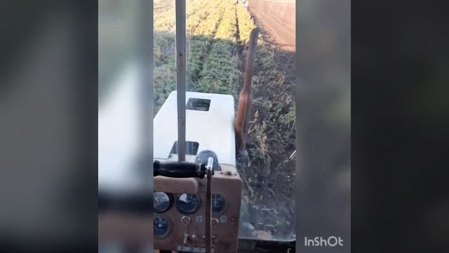 Уборка моркови, Т-70 и выкопочная скоба из Советского Союза. смотреть онлайн