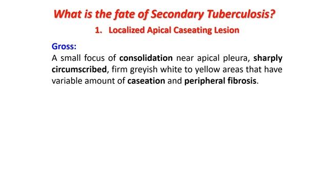 Pathology : Pulmonary T B смотреть онлайн