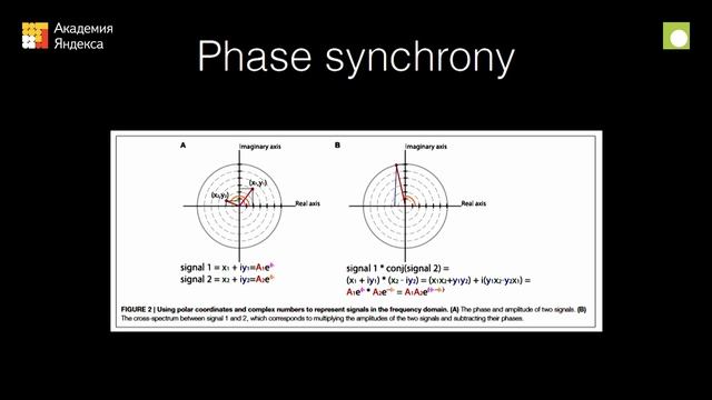 011. Исследование связности в мозге на основе электрофизиологических данных — Илья Захаров смотреть онлайн