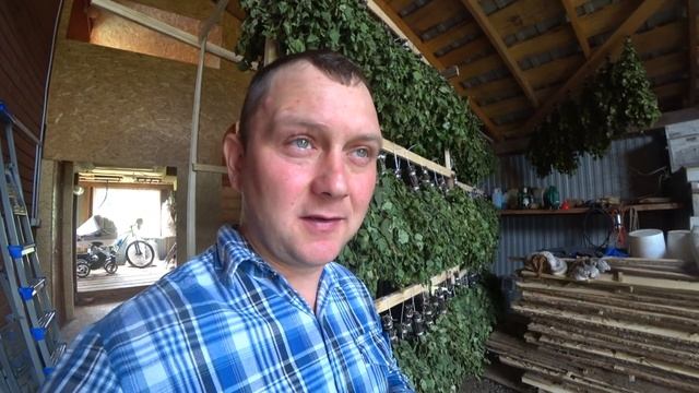 Берёзовые веники на продажу. Планка в 1700 шт. реализована. Какой он, бизнес на вениках? смотреть онлайн